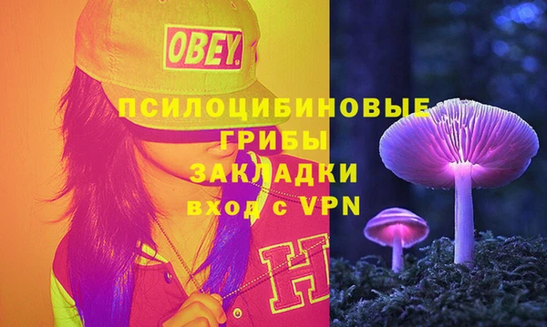 тгк Аркадак