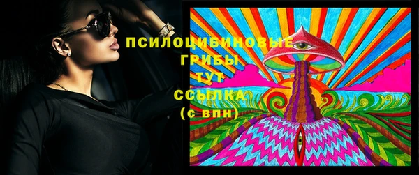 тгк Аркадак