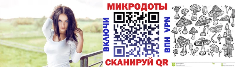 Галлюциногенные грибы Psilocybine cubensis  Сафоново 